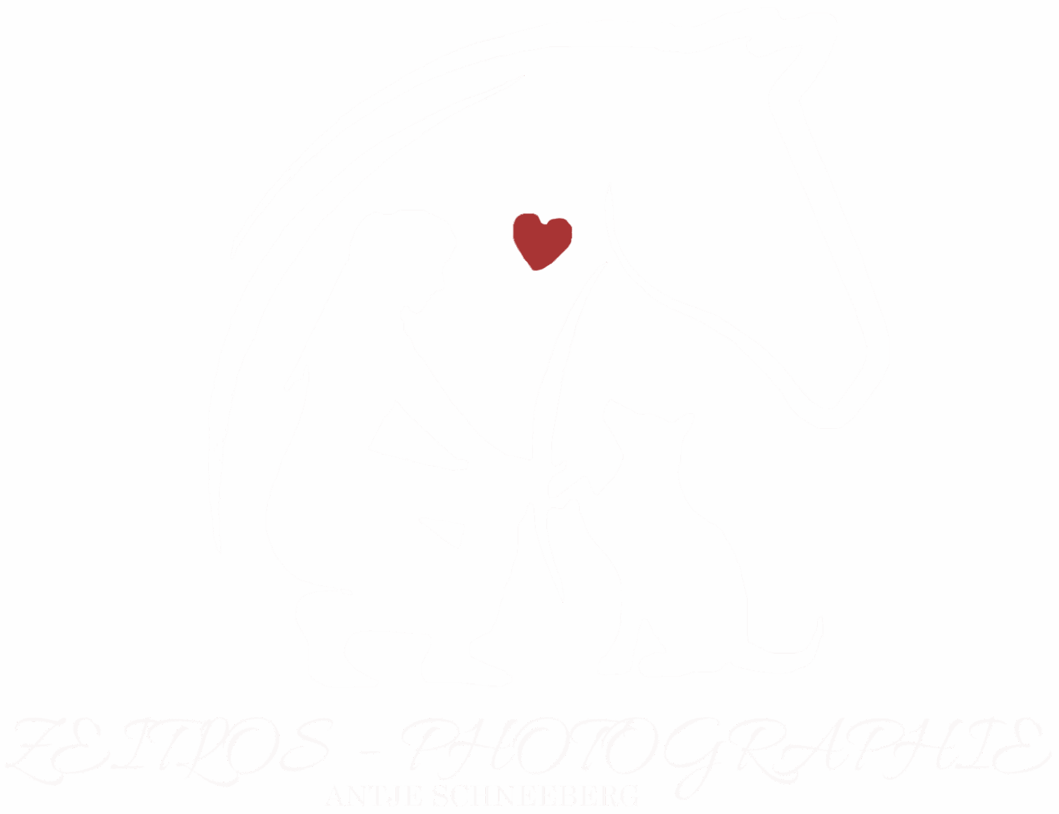 Zeitlos-Fotografie